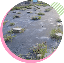 防草シート施工