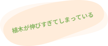植木が伸びすぎてしまっている