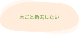 木ごと撤去したい